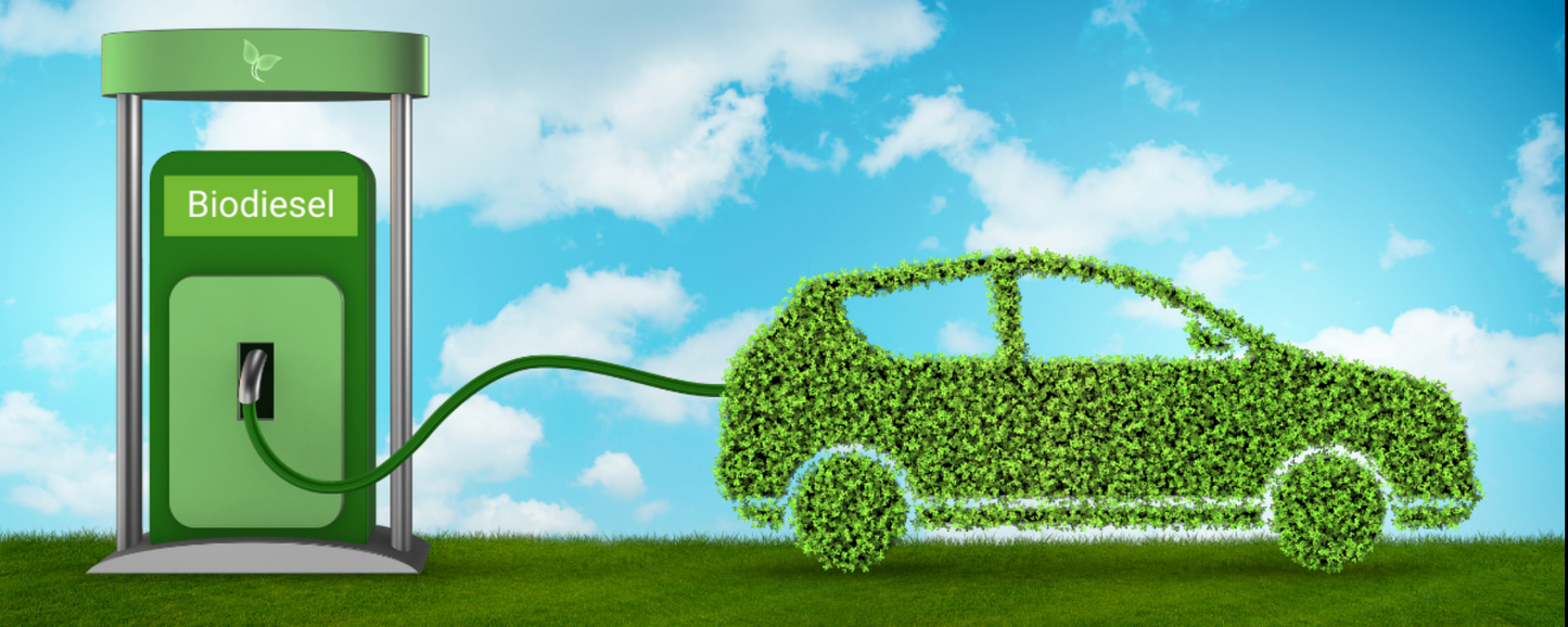 Biodiesel