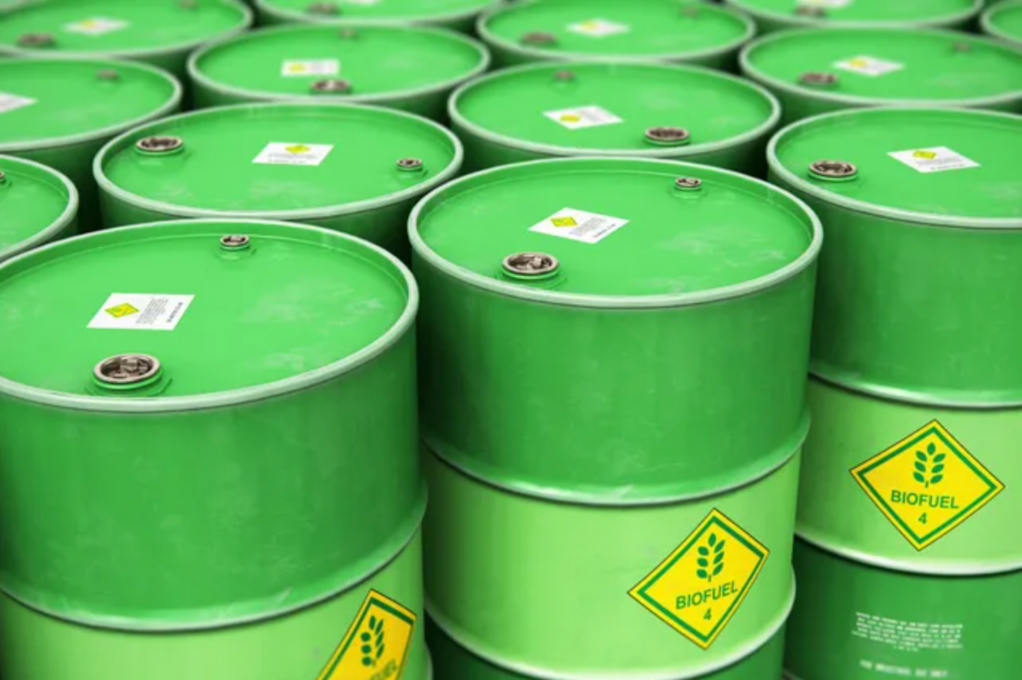 Biodiesel
